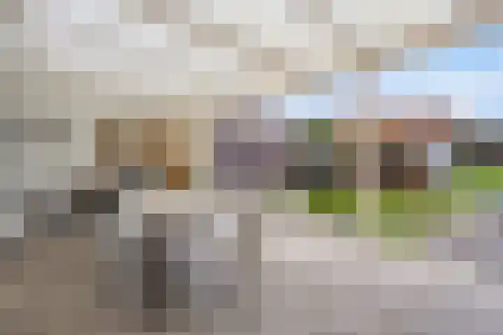 Prins Clauslaan 25 Bunde thumbnail 31