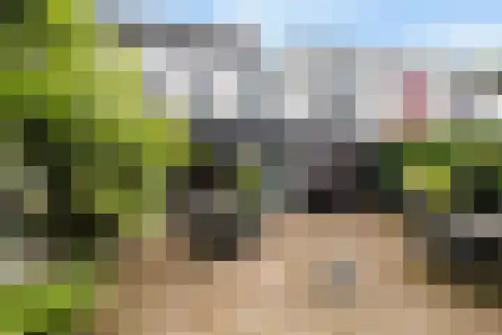 Prins Clauslaan 29 Amersfoort thumbnail 34