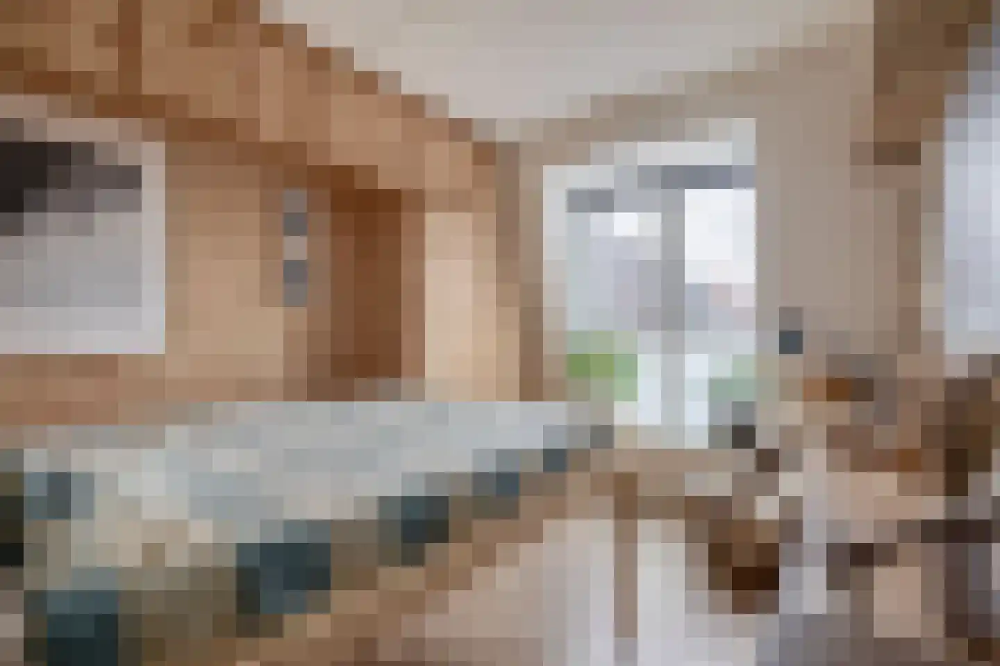 Prins Clauslaan 33 Julianadorp thumbnail 21