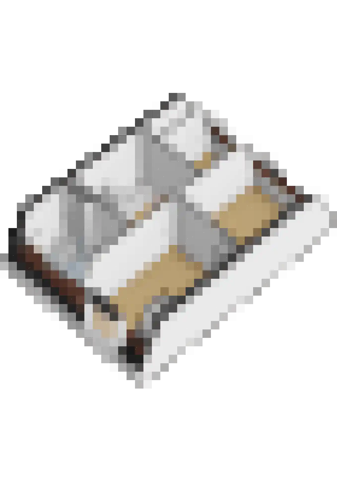 Prins Clauslaan 33 Julianadorp thumbnail 42