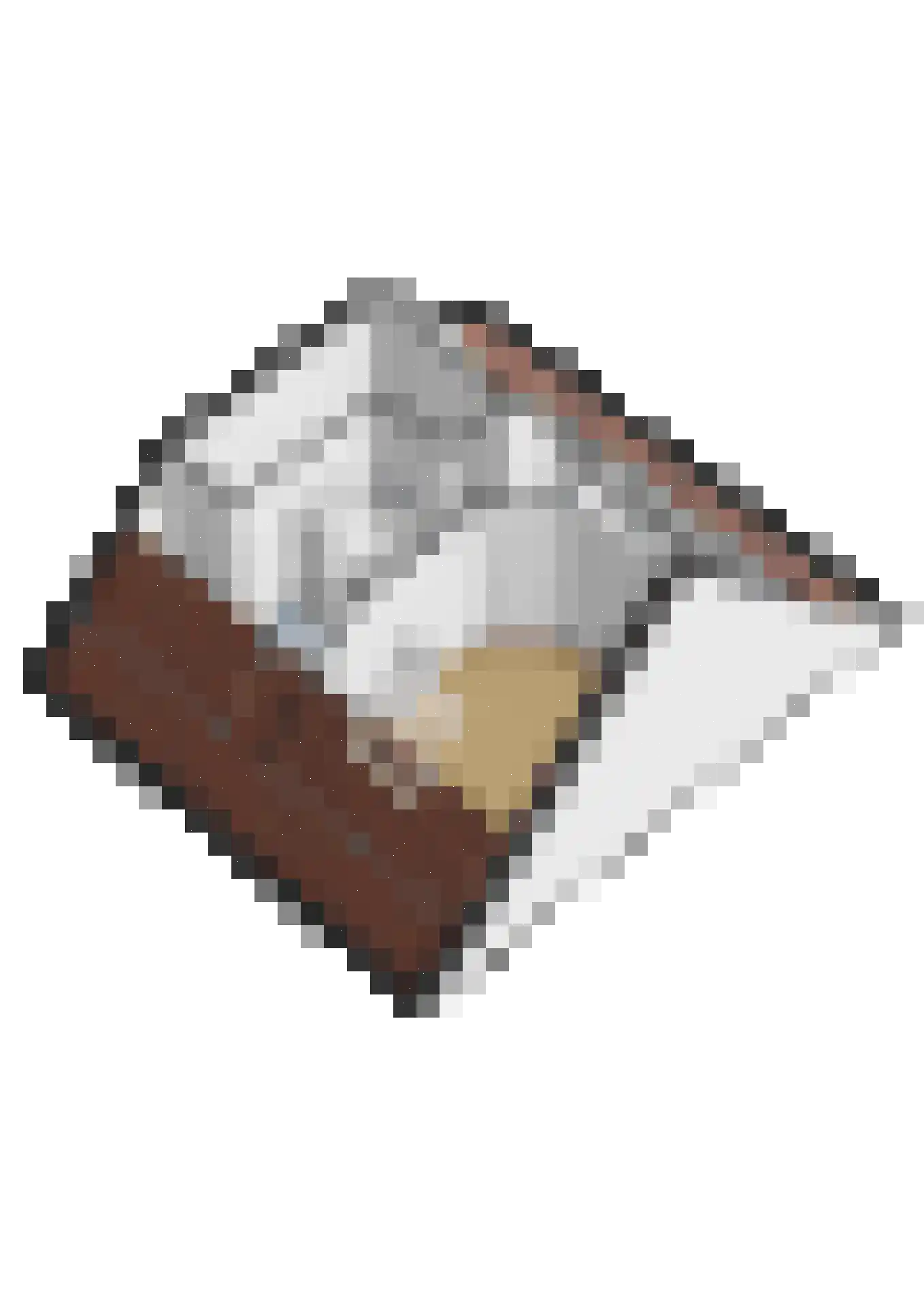 Prins Clauslaan 33 Julianadorp thumbnail 44