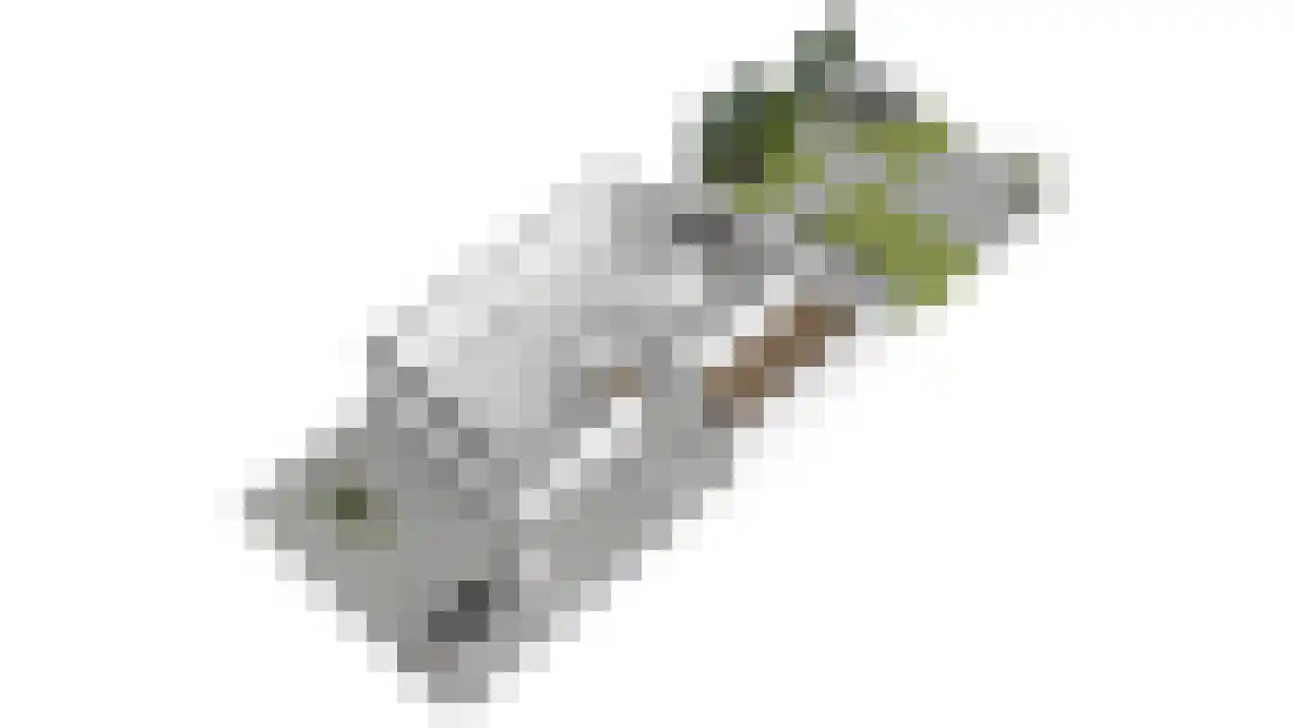 Prins Clauslaan 35 Bunde thumbnail 23