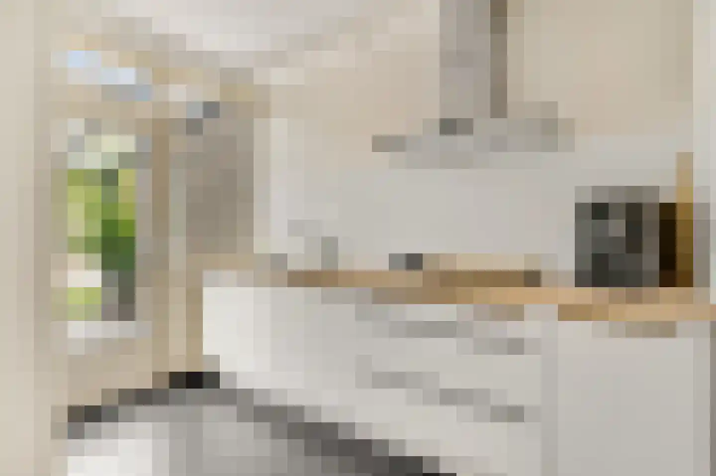 Prins Clauslaan 35 Bunde thumbnail 4