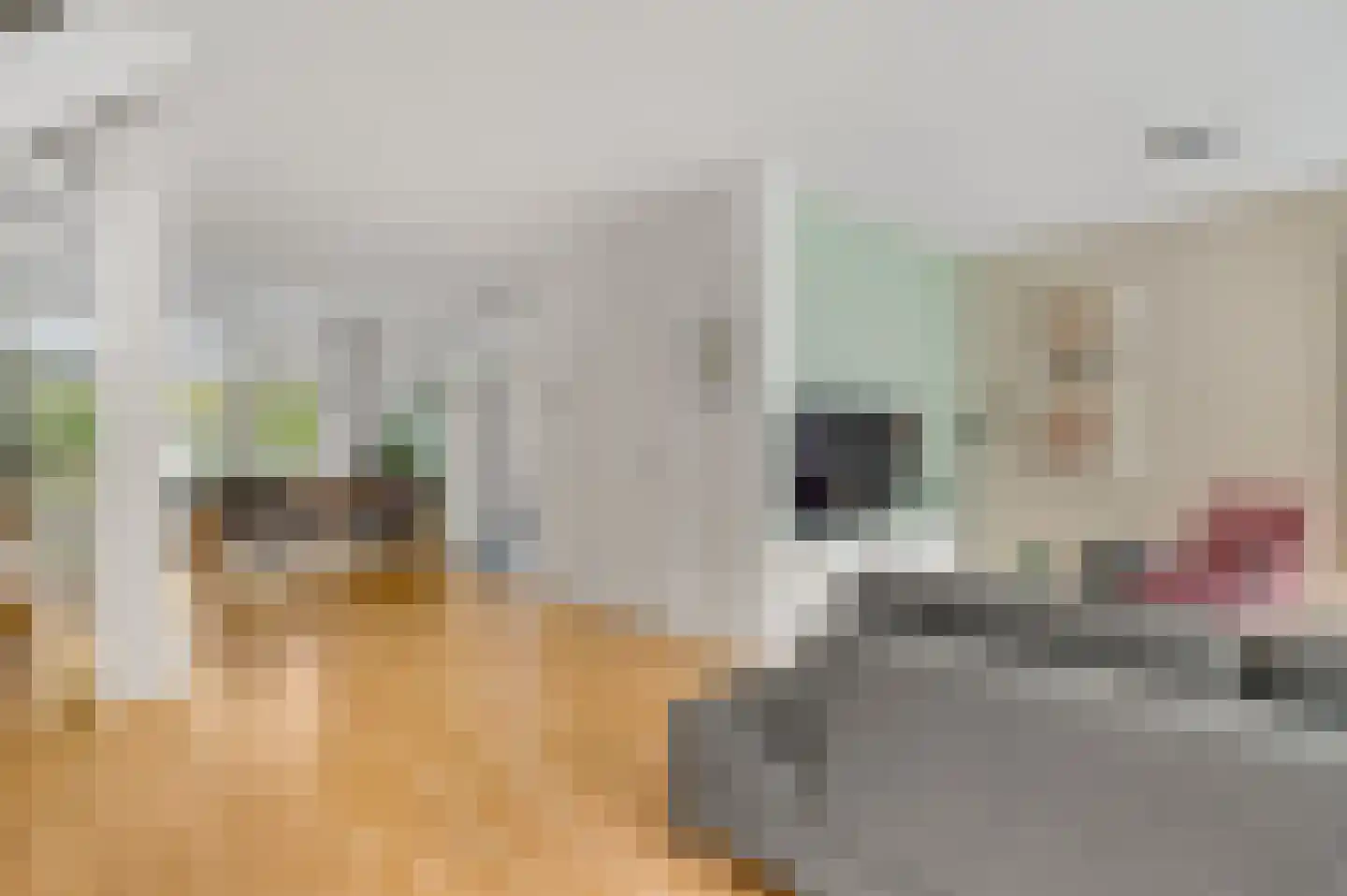 Prins Clauslaan 35 Bunde thumbnail 7