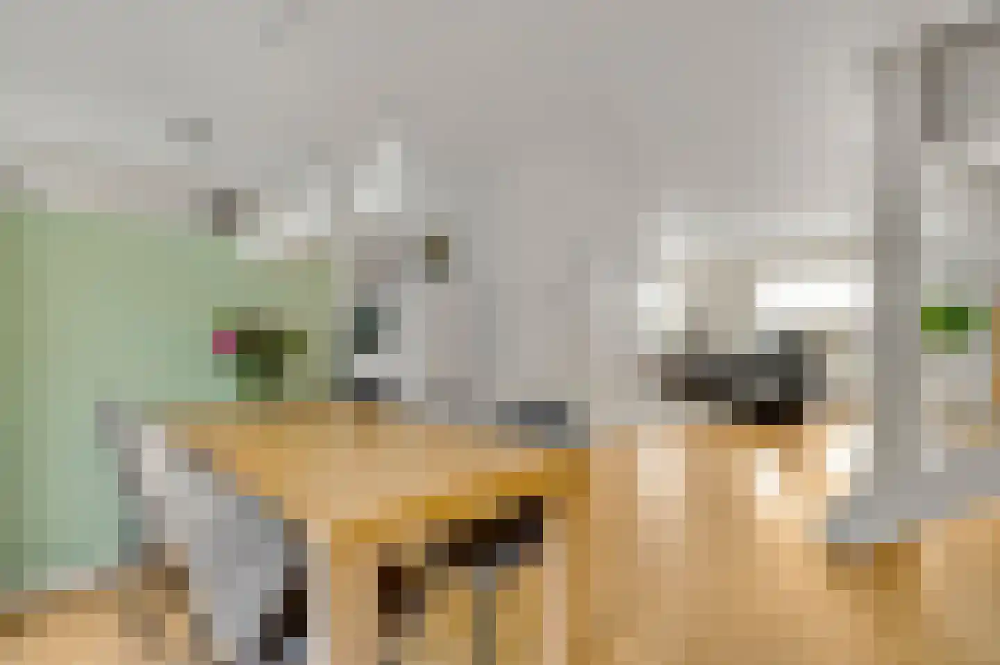 Prins Clauslaan 35 Bunde thumbnail 8