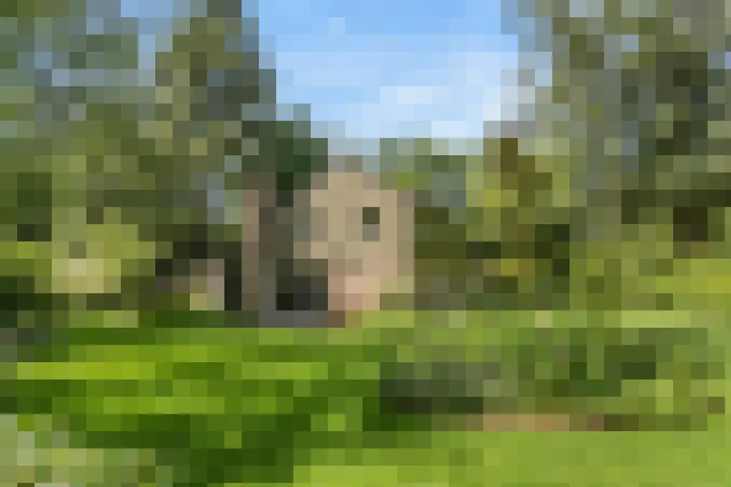Prins Clauslaan 4 Bennekom