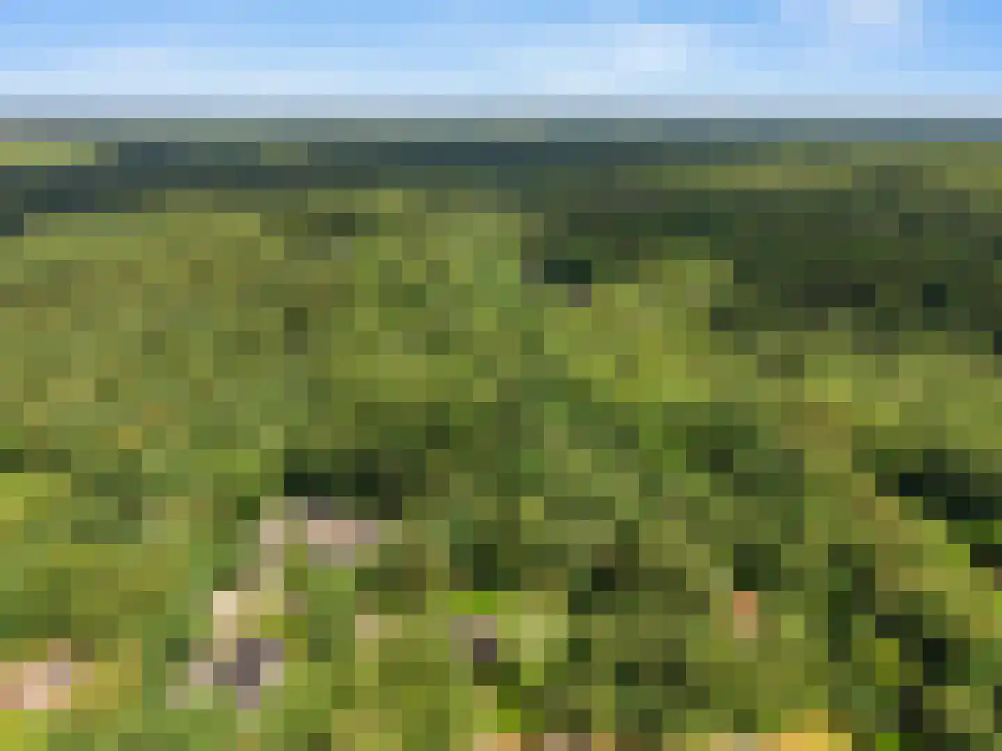 Prins Clauslaan 4 Bennekom thumbnail 11