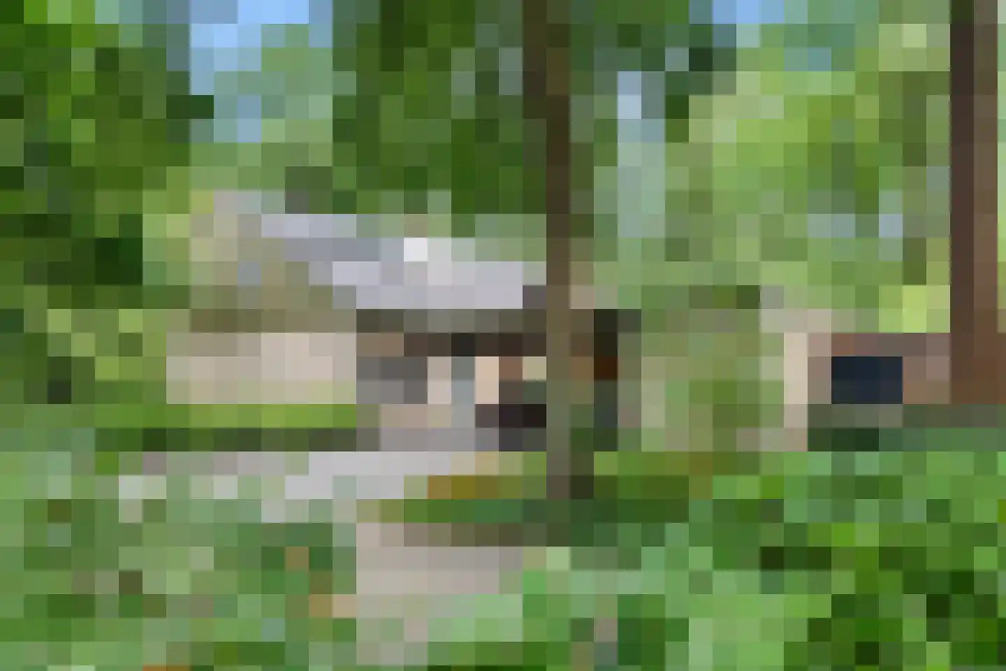 Prins Clauslaan 4 Bennekom thumbnail 12