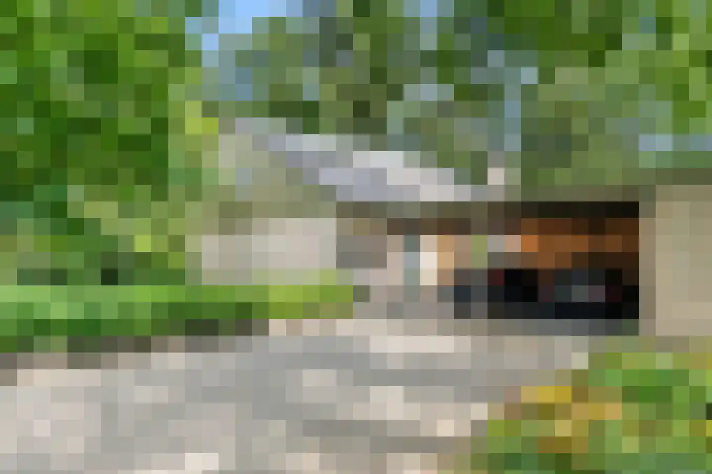 Prins Clauslaan 4 Bennekom thumbnail 20