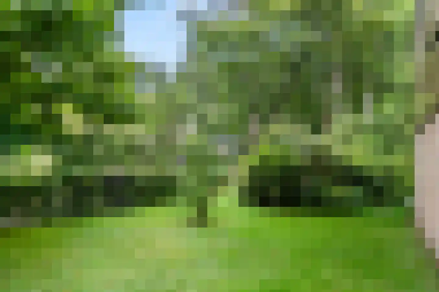 Prins Clauslaan 4 Bennekom thumbnail 21