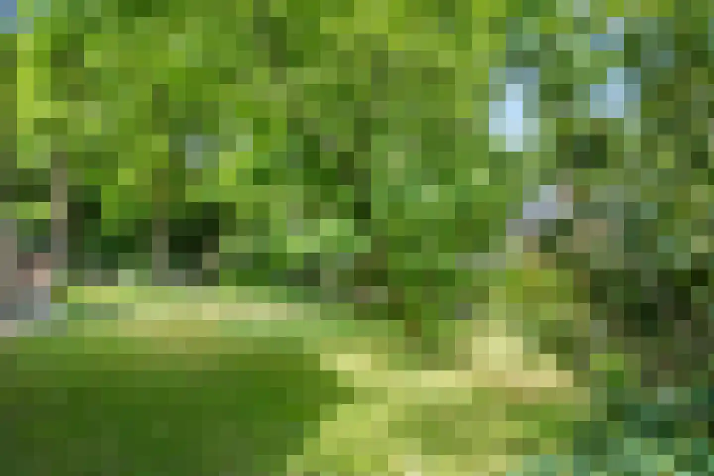 Prins Clauslaan 4 Bennekom thumbnail 22
