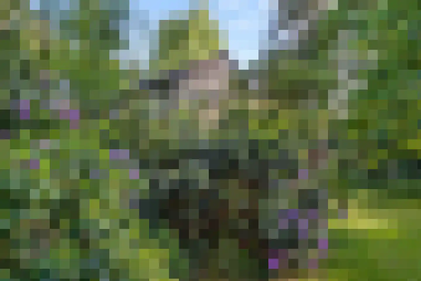 Prins Clauslaan 4 Bennekom thumbnail 23