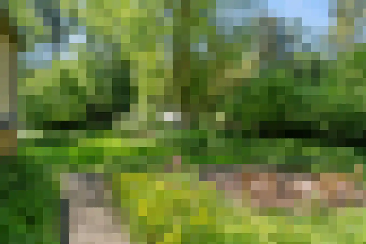 Prins Clauslaan 4 Bennekom thumbnail 24