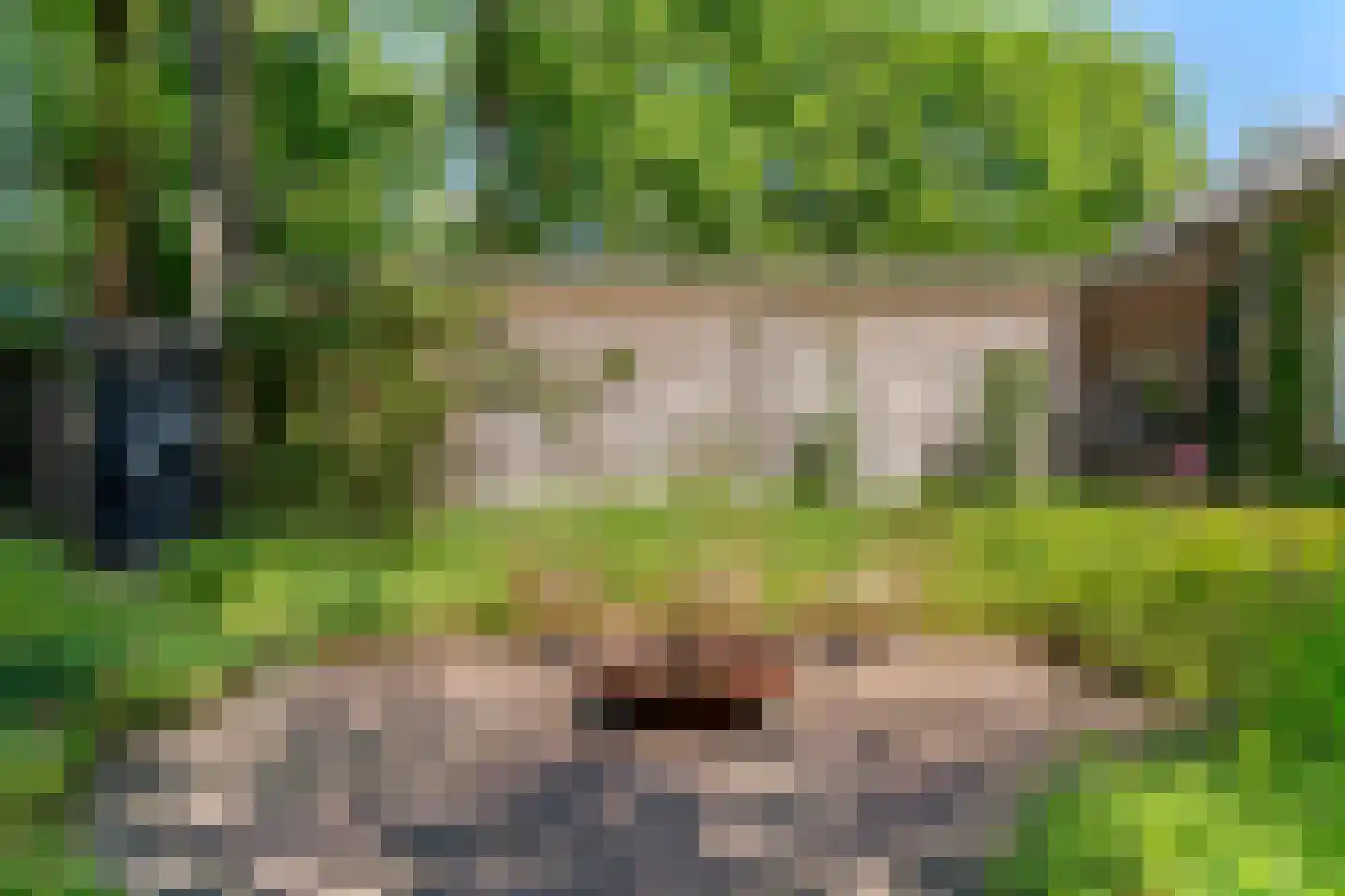 Prins Clauslaan 4 Bennekom thumbnail 25
