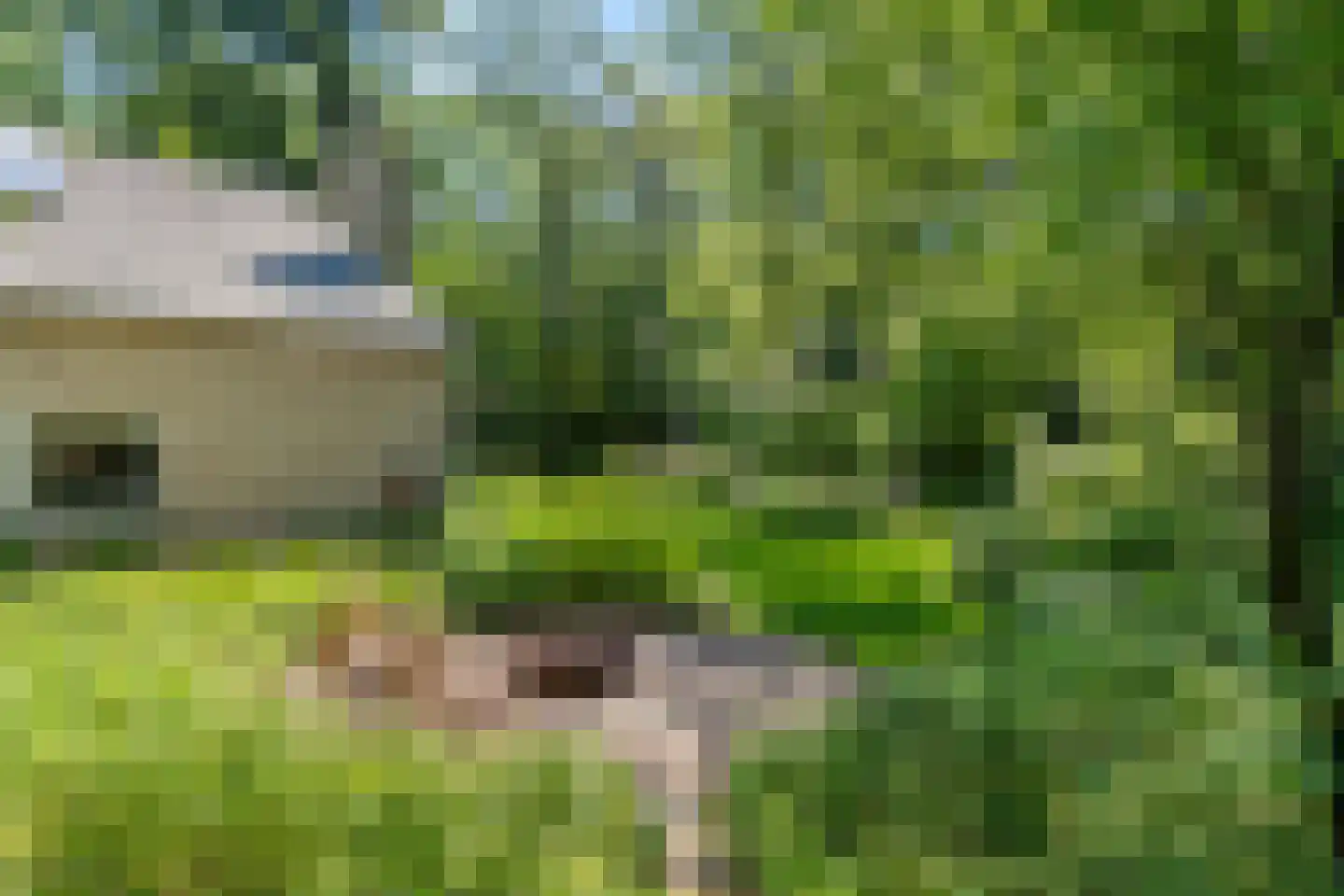 Prins Clauslaan 4 Bennekom thumbnail 26