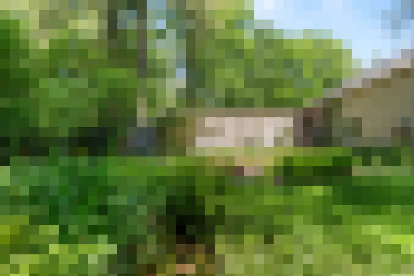 Prins Clauslaan 4 Bennekom thumbnail 27