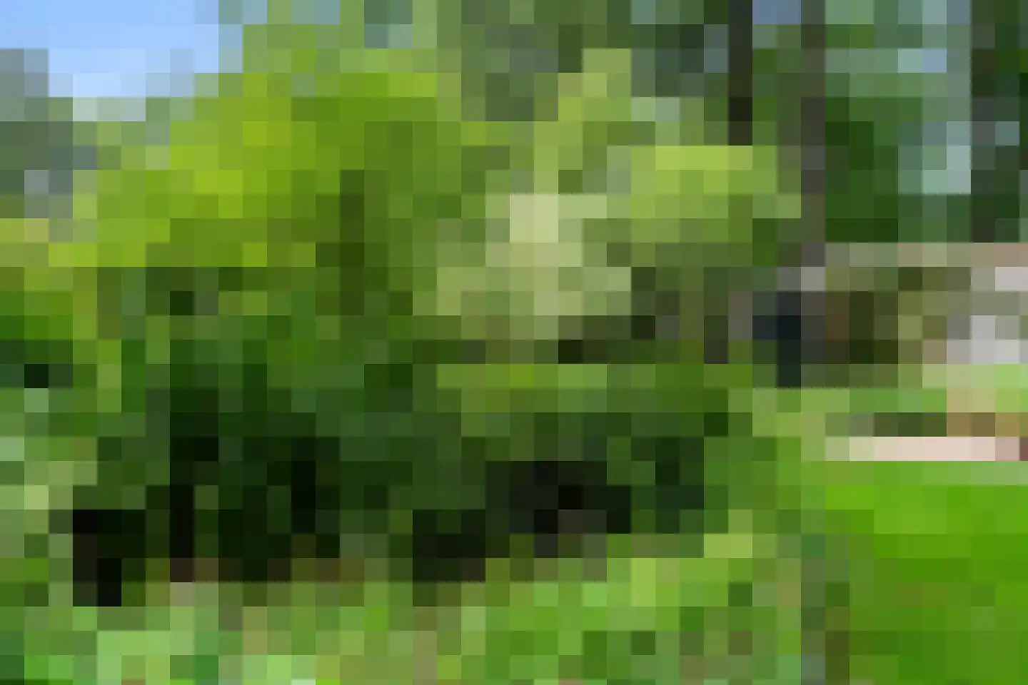 Prins Clauslaan 4 Bennekom thumbnail 28