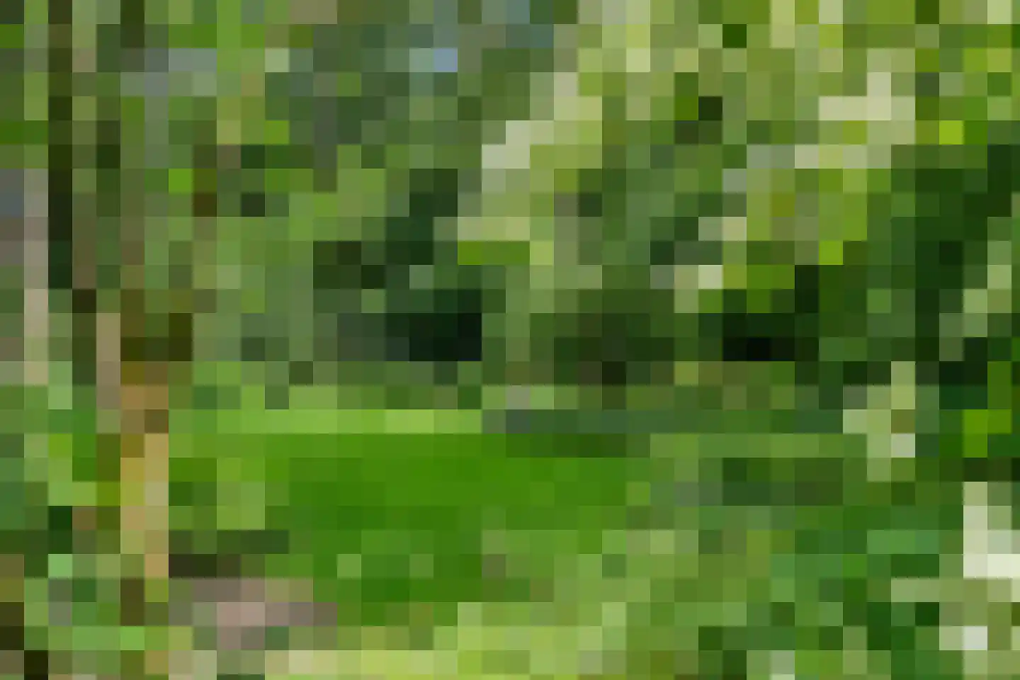 Prins Clauslaan 4 Bennekom thumbnail 29