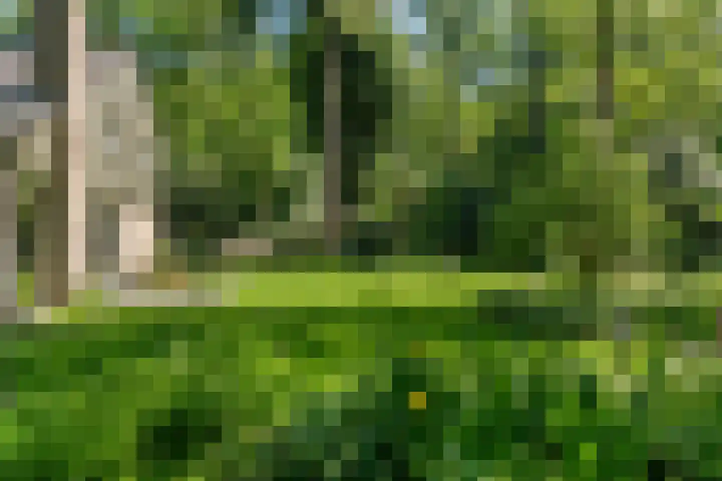 Prins Clauslaan 4 Bennekom thumbnail 32