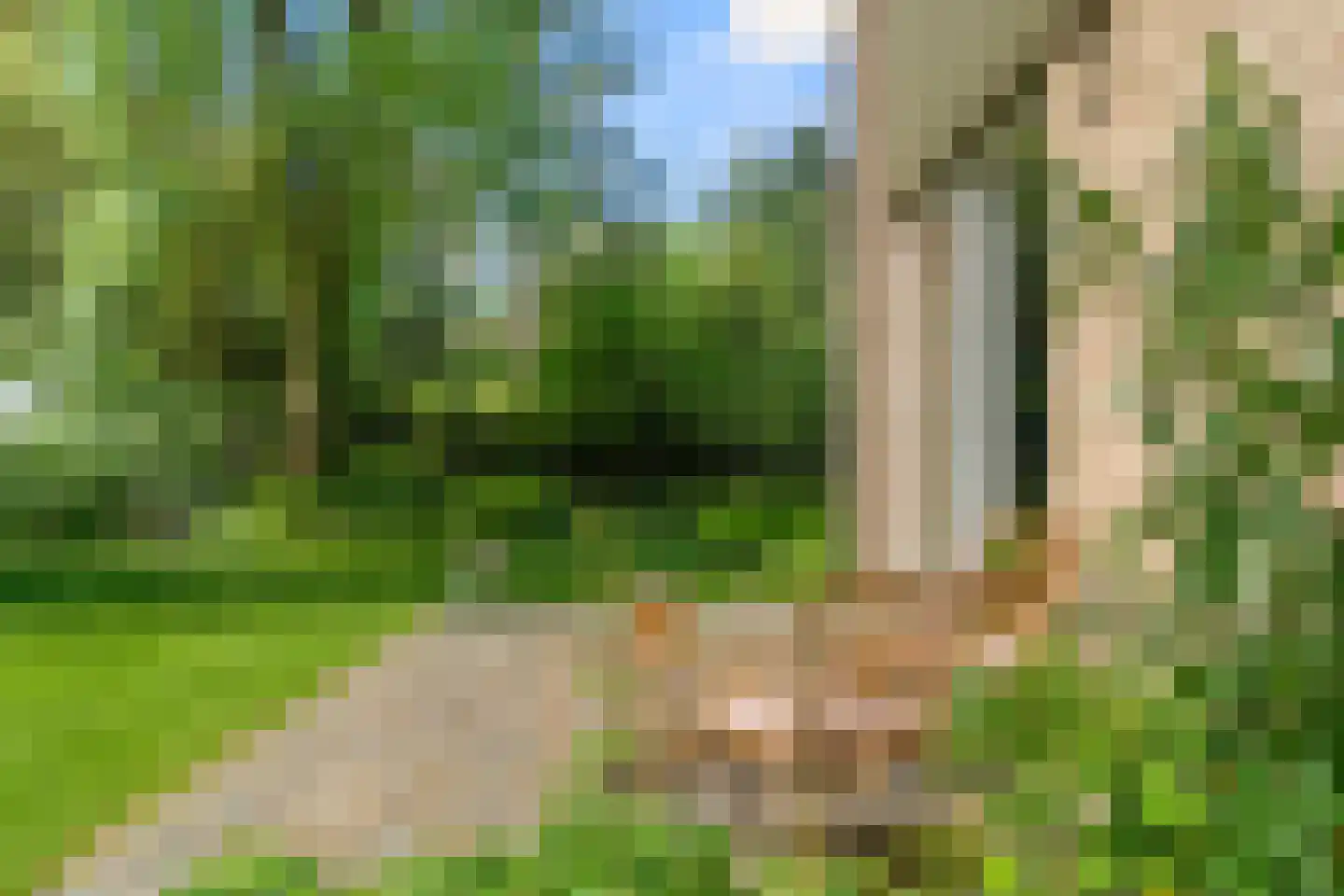 Prins Clauslaan 4 Bennekom thumbnail 34