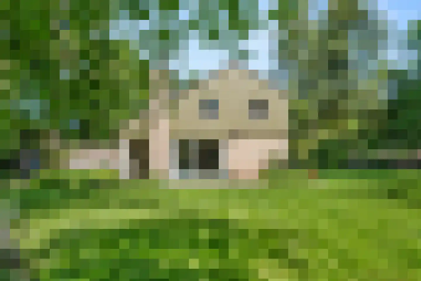 Prins Clauslaan 4 Bennekom thumbnail 36