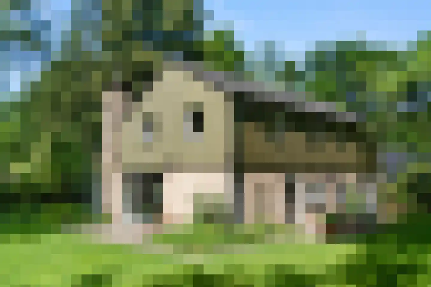 Prins Clauslaan 4 Bennekom thumbnail 38