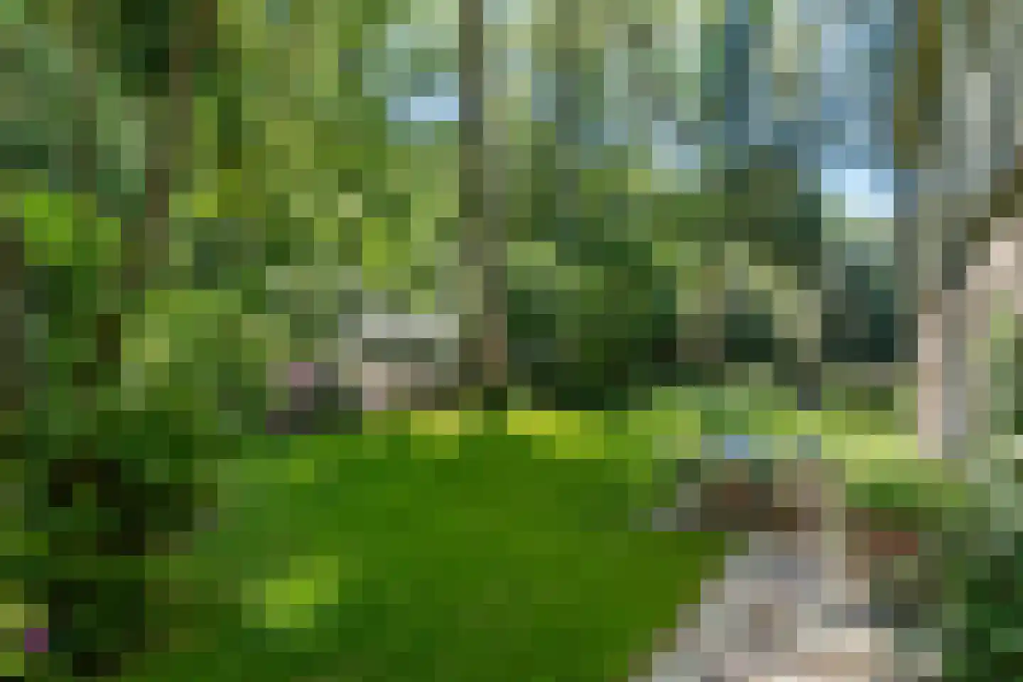 Prins Clauslaan 4 Bennekom thumbnail 40