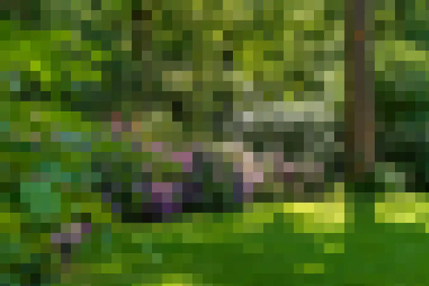 Prins Clauslaan 4 Bennekom thumbnail 41