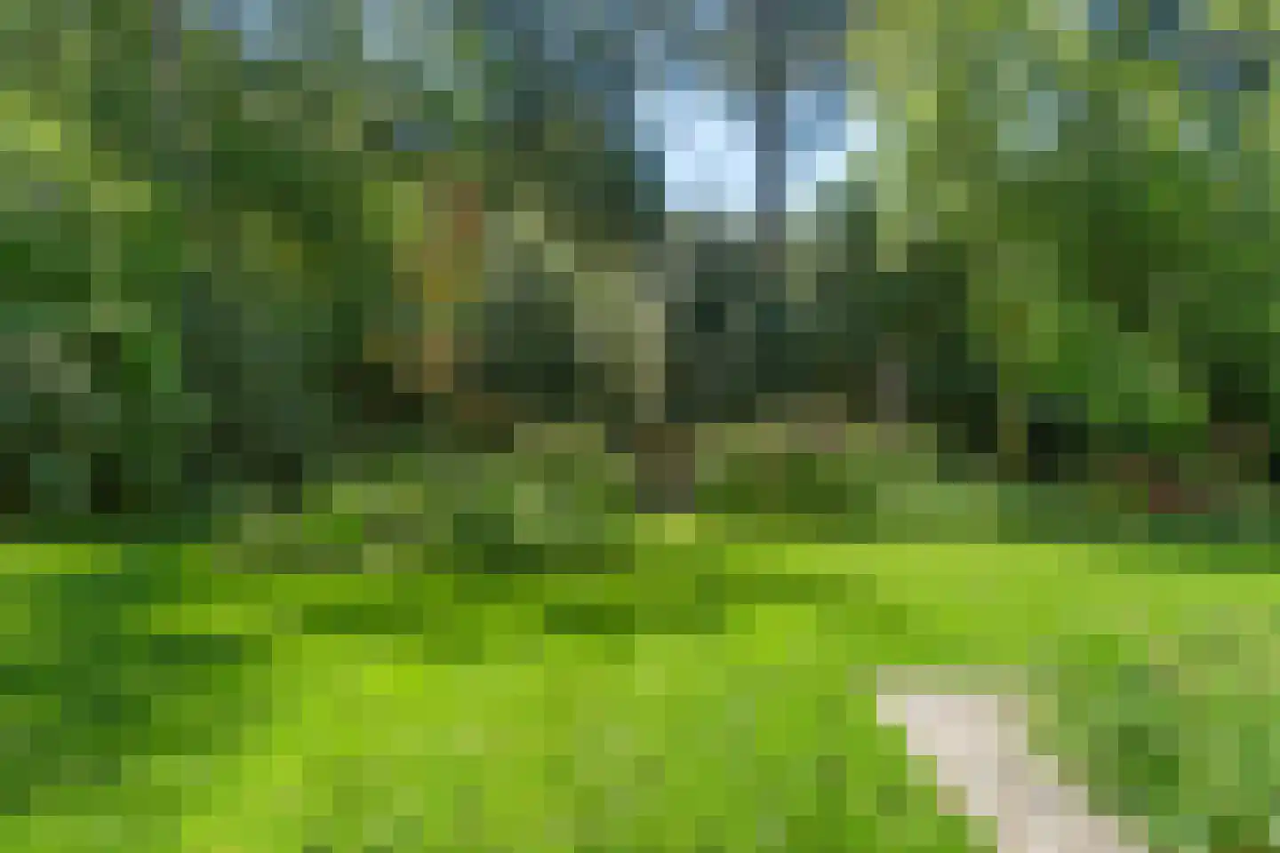 Prins Clauslaan 4 Bennekom thumbnail 43