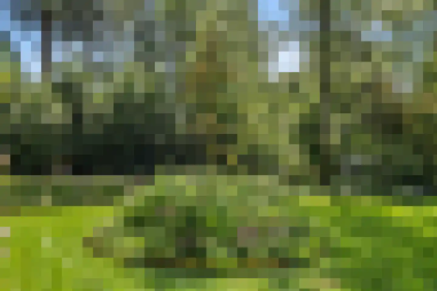 Prins Clauslaan 4 Bennekom thumbnail 44