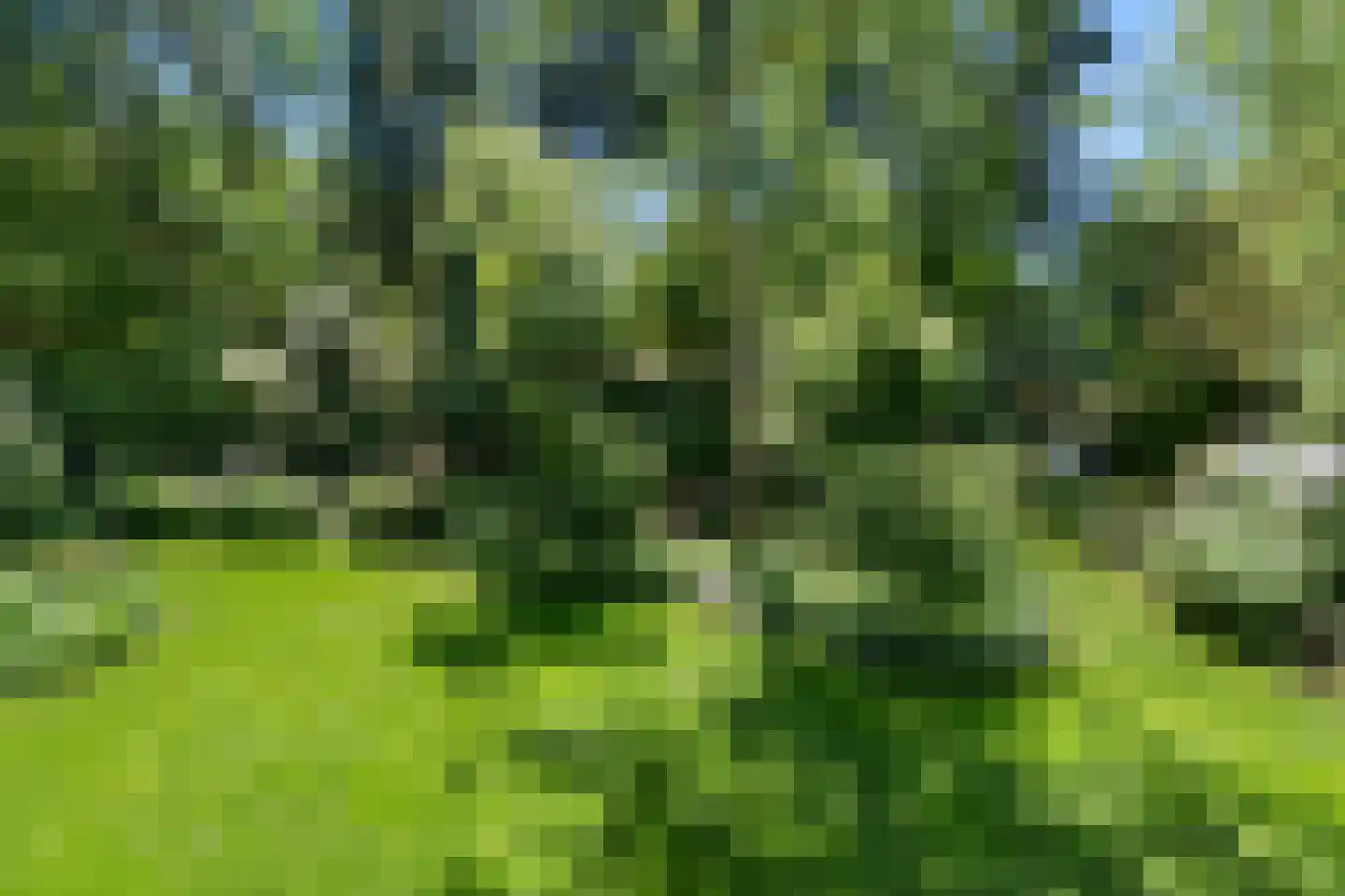 Prins Clauslaan 4 Bennekom thumbnail 45