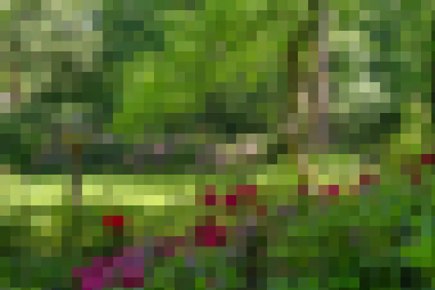 Prins Clauslaan 4 Bennekom thumbnail 47