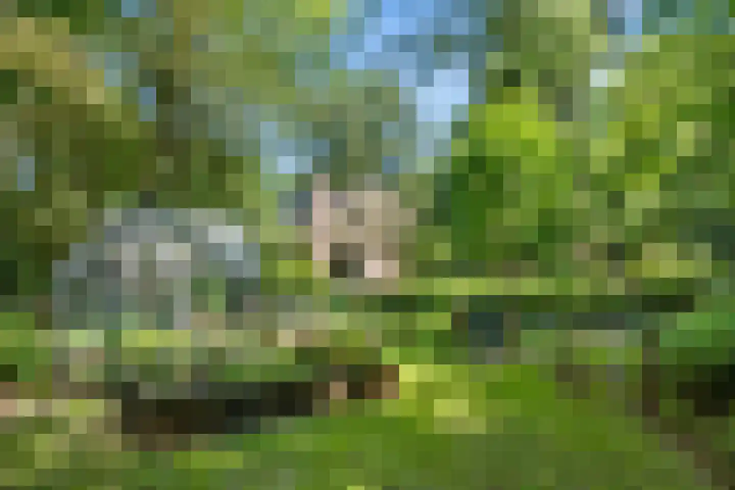 Prins Clauslaan 4 Bennekom thumbnail 51