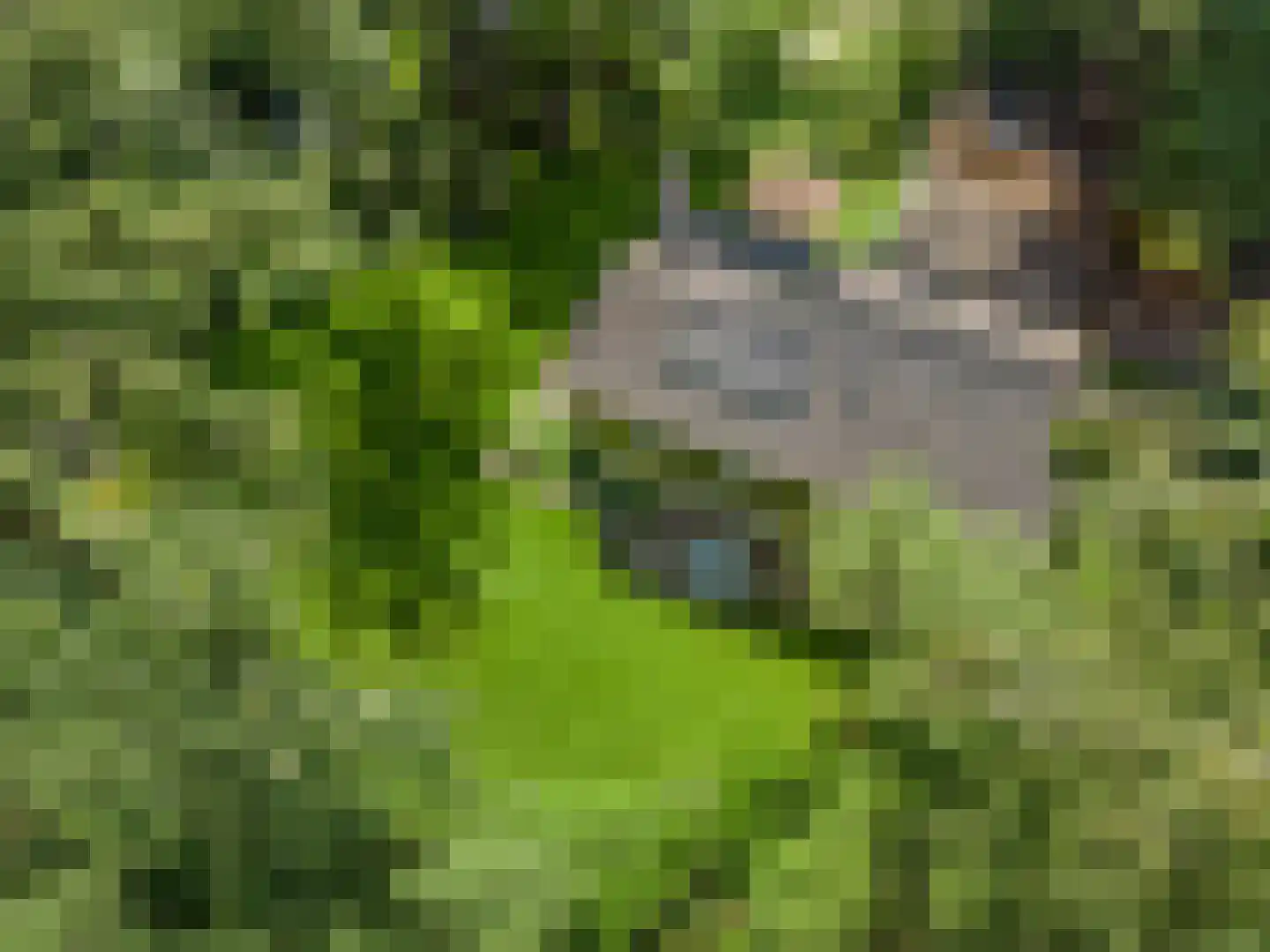 Prins Clauslaan 4 Bennekom thumbnail 6