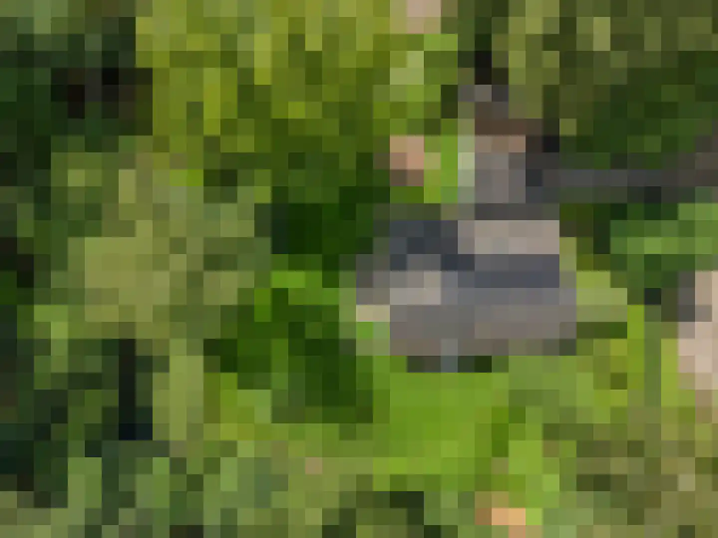 Prins Clauslaan 4 Bennekom thumbnail 7