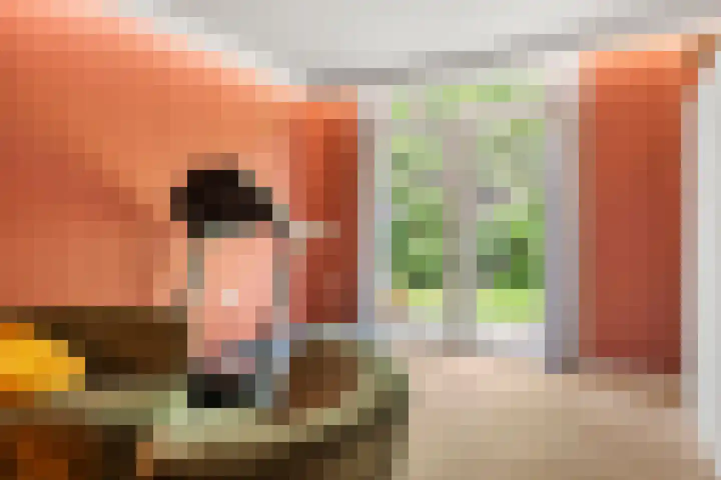 Prins Clauslaan 4 Bennekom thumbnail 71