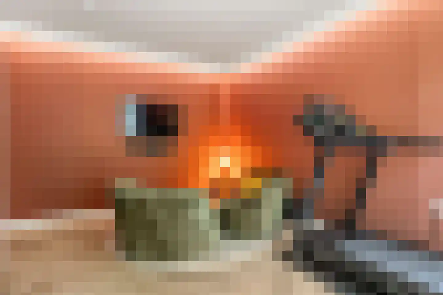 Prins Clauslaan 4 Bennekom thumbnail 73