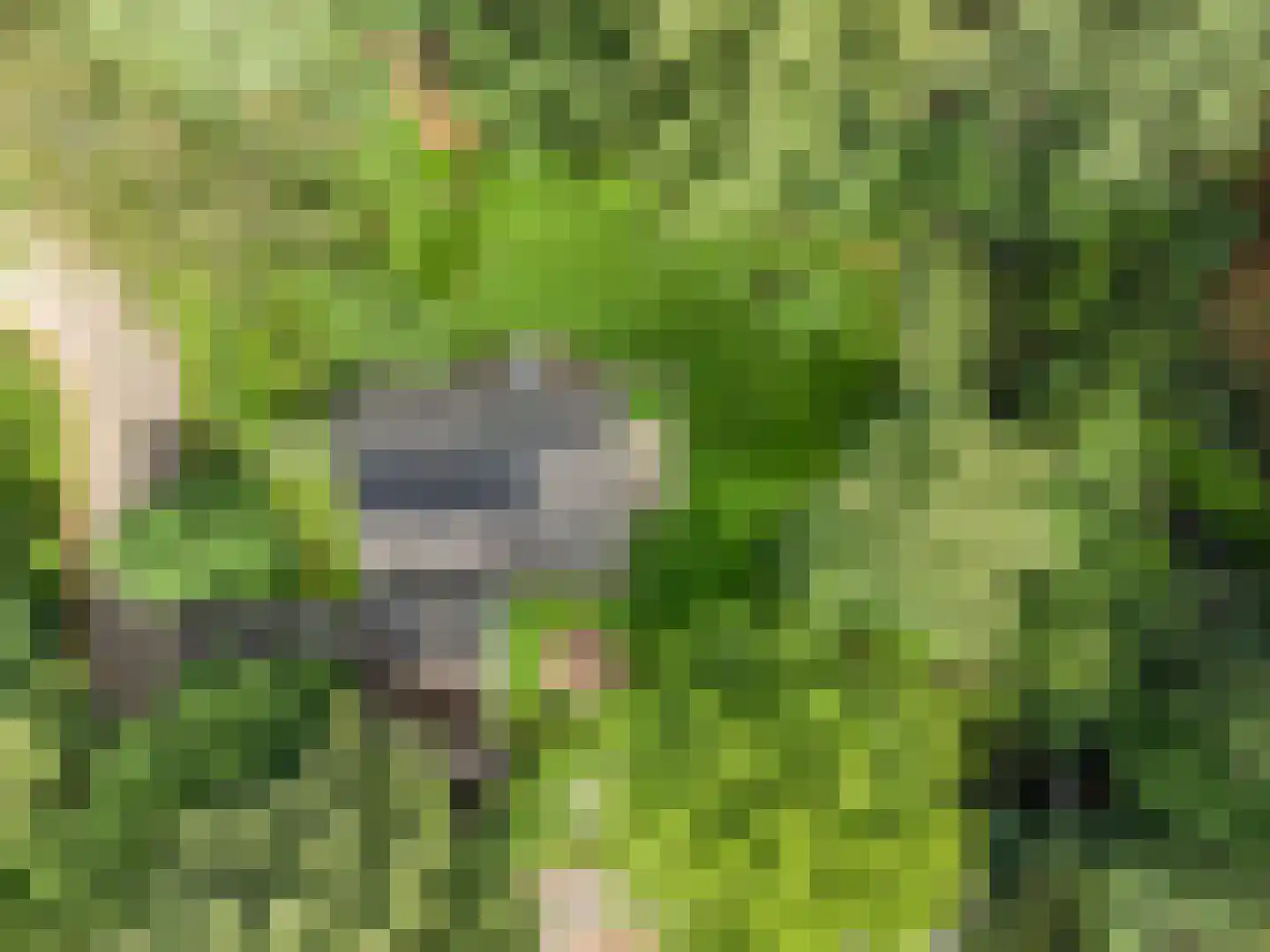 Prins Clauslaan 4 Bennekom thumbnail 8
