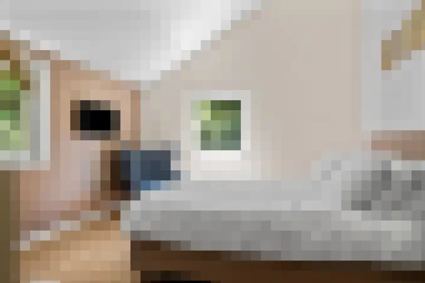 Prins Clauslaan 4 Bennekom thumbnail 89