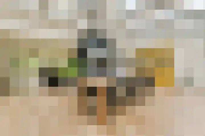 Prins Clauslaan 5 Badhoevedorp thumbnail 10