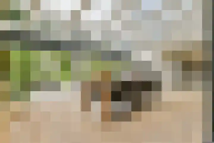 Prins Clauslaan 5 Badhoevedorp thumbnail 11