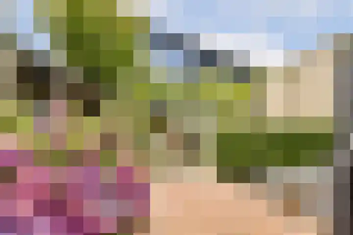 Prins Clauslaan 5 Badhoevedorp thumbnail 31