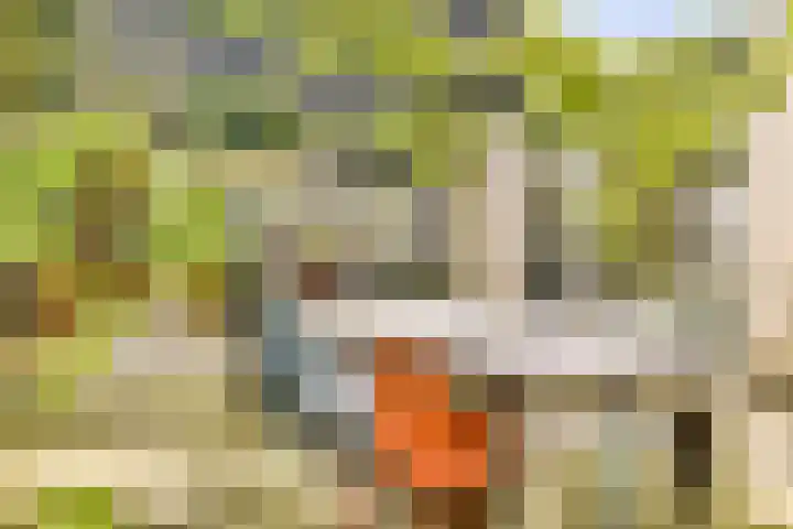 Prins Clauslaan 5 Badhoevedorp thumbnail 33