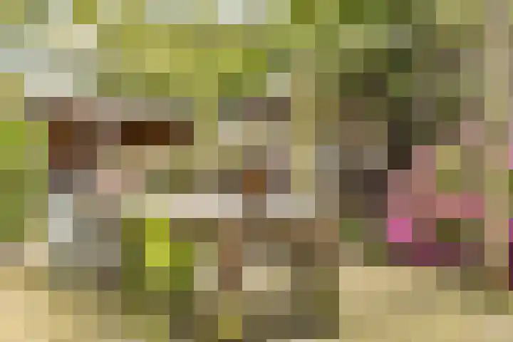 Prins Clauslaan 5 Badhoevedorp thumbnail 34