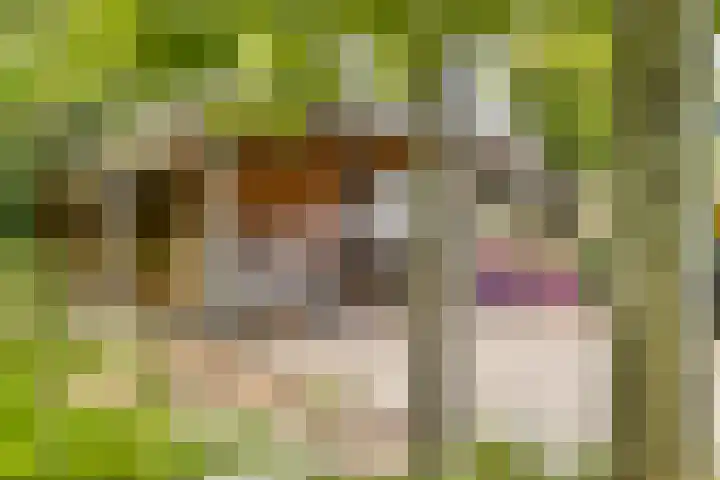 Prins Clauslaan 5 Badhoevedorp thumbnail 37