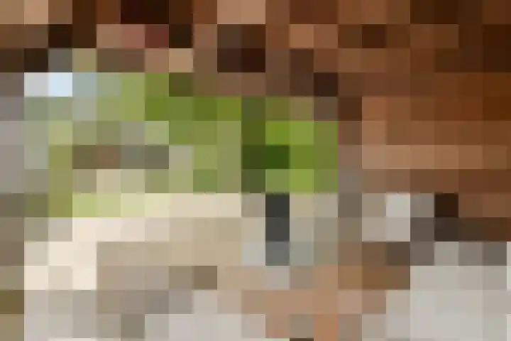 Prins Clauslaan 5 Badhoevedorp thumbnail 39
