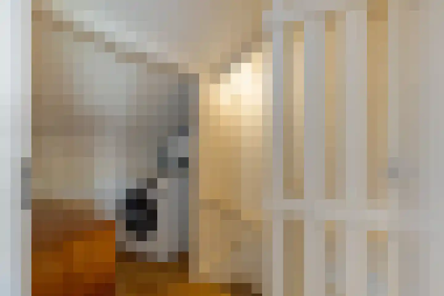 Prins Clauslaan 54 Best thumbnail 34