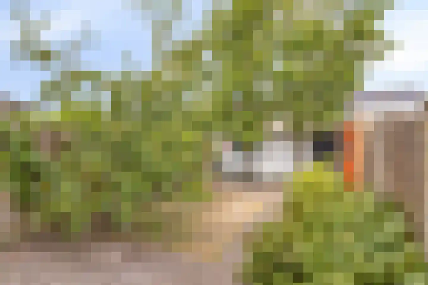 Prins Clauslaan 54 Best thumbnail 38