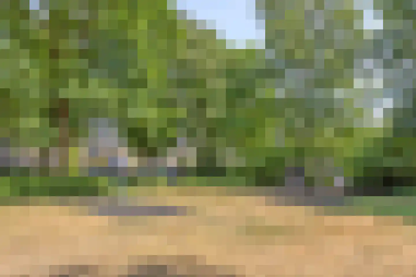 Prins Clauslaan 54 Best thumbnail 47