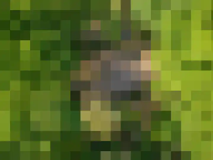 Prins Clauslaan 8 Bennekom thumbnail 10